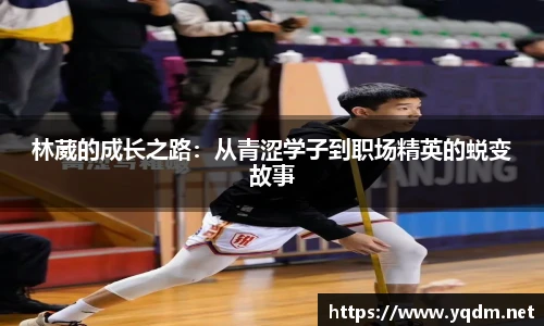 米兰体育官方网站